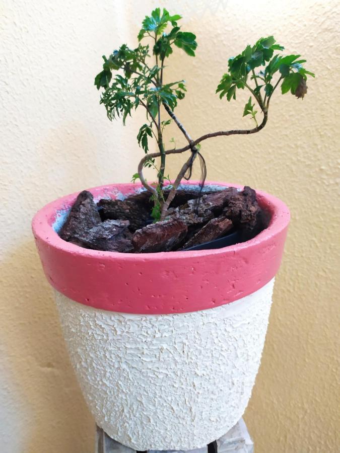 Lua Cheia Botucatu